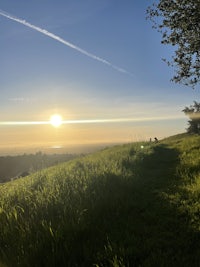 the sun is setting over a grassy field